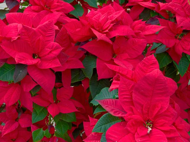 保険も徐々に値上げの波！？火災保険の上手な選び方①