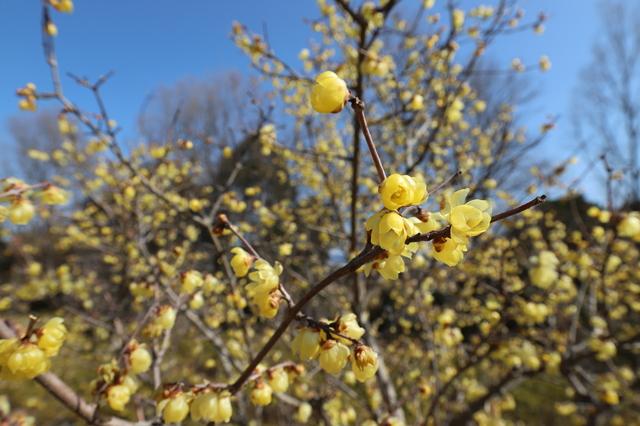 50代・60代 退職時の保障見直しガイド①